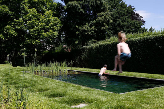 Balanceren voor helder en zuiver vijverwater