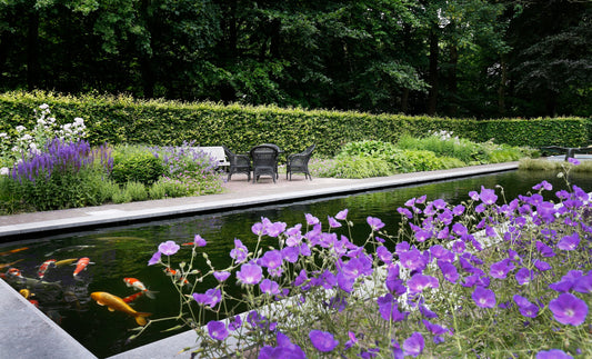 Een koivijver als levend hart van je tuin