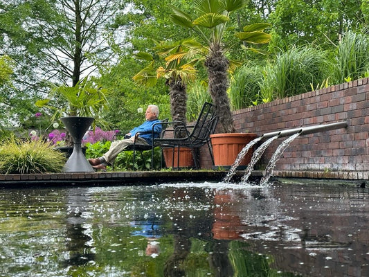 Hoe bacteriën uw vijver laten leven