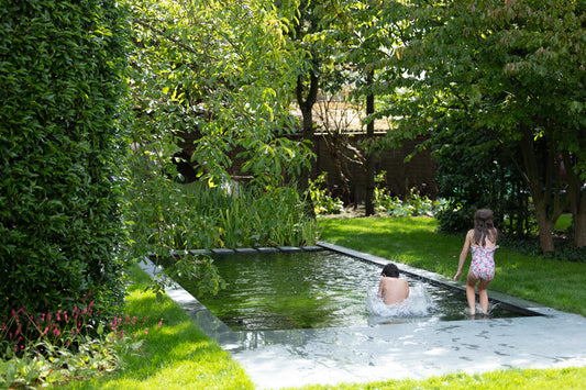 Zwemvijver: waterpret en natuur in één