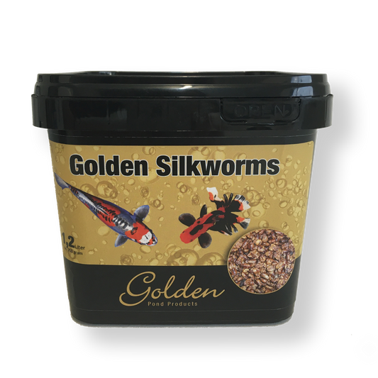 Golden Silkworms