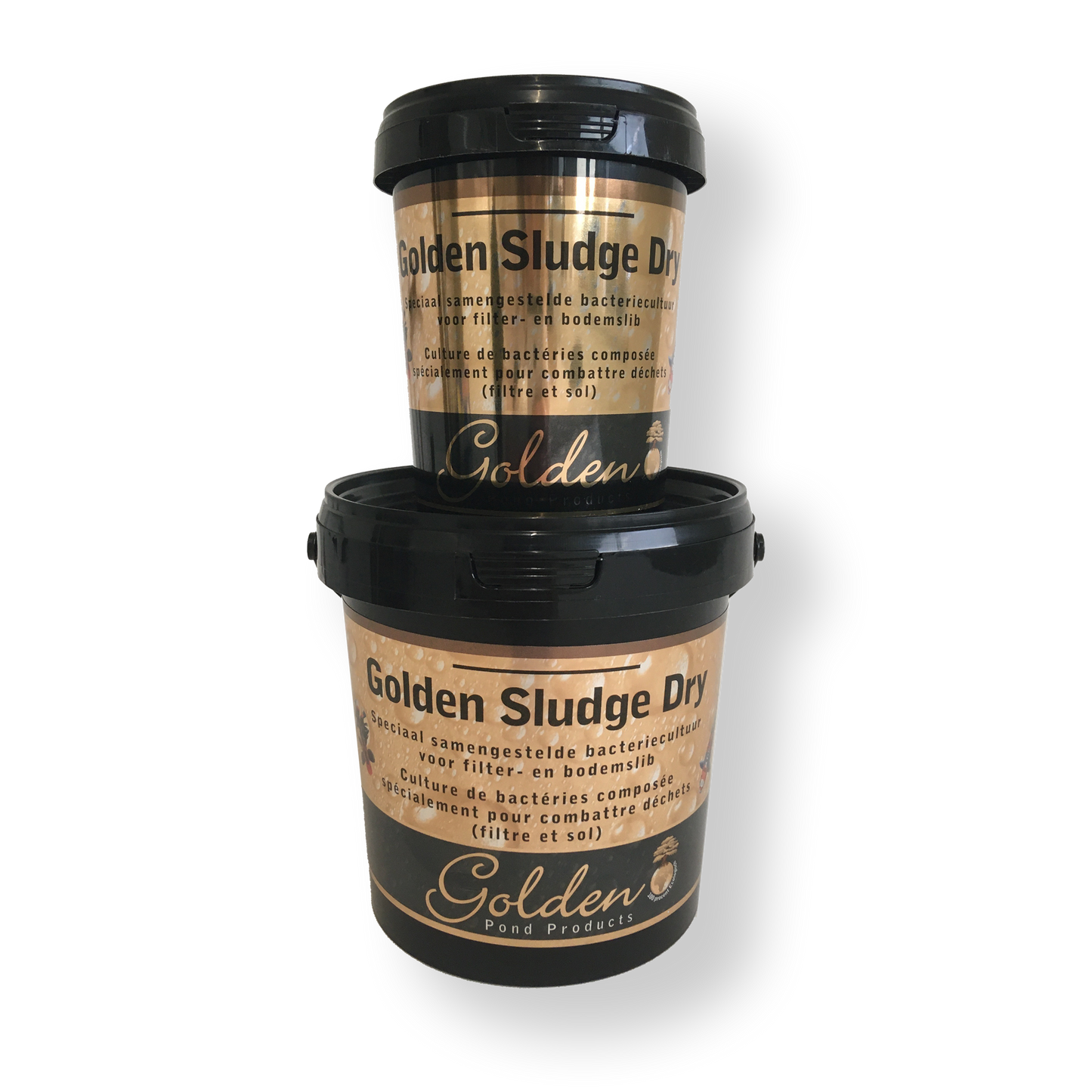 Golden Sludge Dry