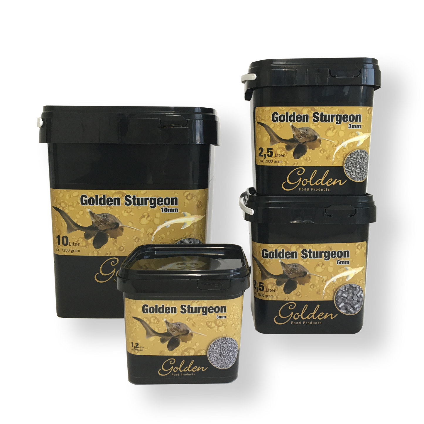 Golden Sturgeon