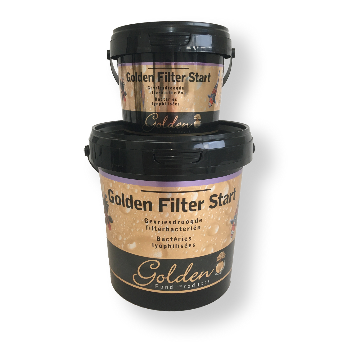 Golden Filter Start