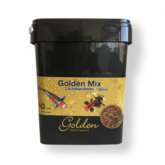 Golden Mix Lactobacillales