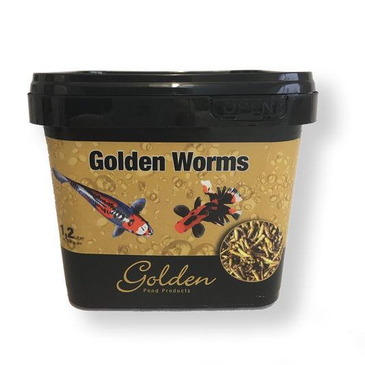 Golden Worms